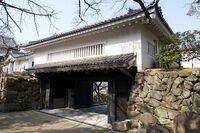 Kishiwada9.jpg