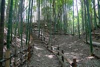 Kozukue7.jpg