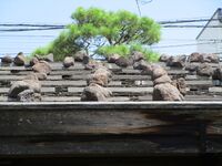 MatsumotoTakahashiBukeyashiki07.JPG