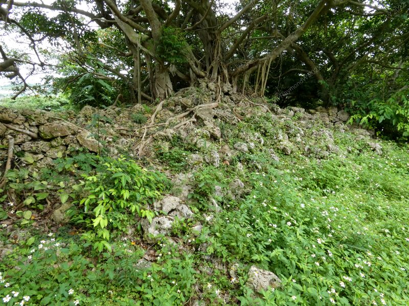 File:Nanzan Castle Ray 5.jpg