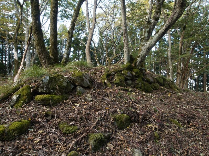 File:Shuzan57.jpg