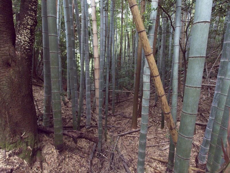 File:Yamazaki29.jpg