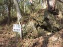 諏訪上城05.5.JPG