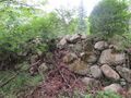 Thumbnail for version as of 09:38, 8 June 2021