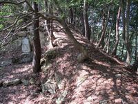 ChikumaAsakajou (14).JPG