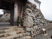 Hamamatsu15.jpg