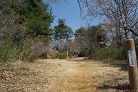 Hanazonomitake17.jpg