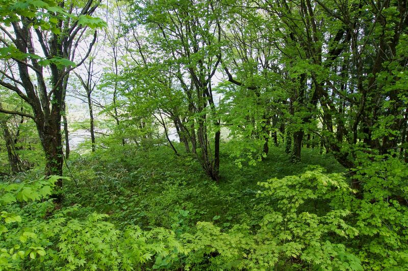 File:Kakunodate113.jpg