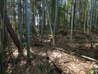 Maruokakoka4.jpg