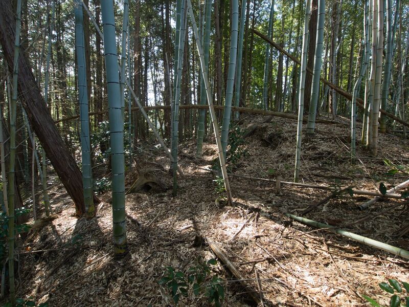 File:Maruokakoka4.jpg
