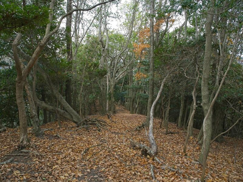 File:Nakaokyoto9.jpg