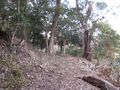 Thumbnail for version as of 06:50, 1 July 2022