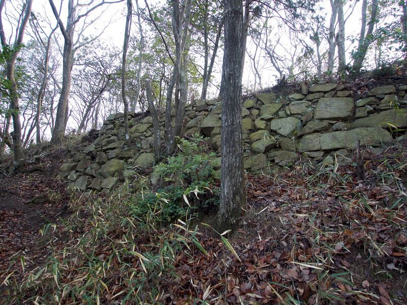 File:Sasou14.jpg