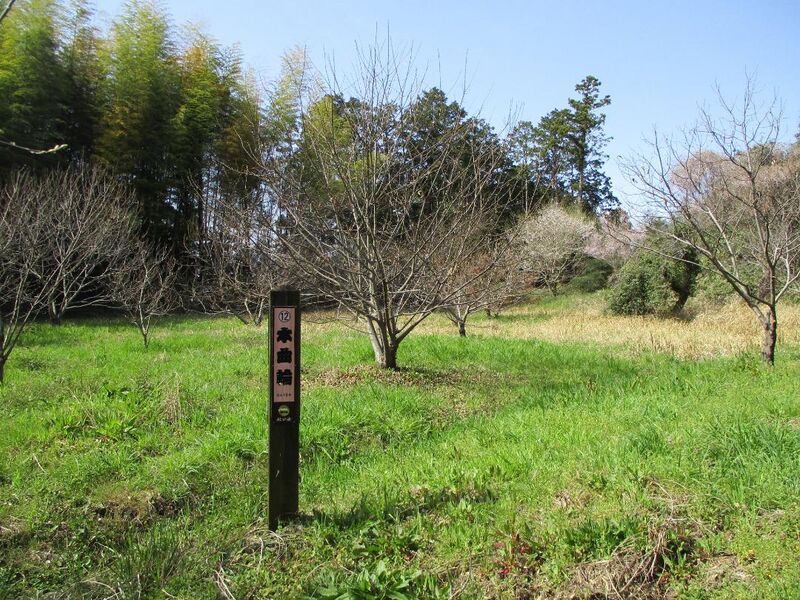 File:TohtoumiIidajou018.jpg