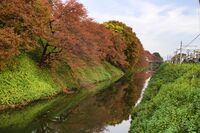 Yamagata10.jpg