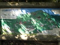 Yamazaki1.jpg