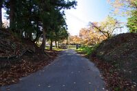 Yonezawa15.jpg