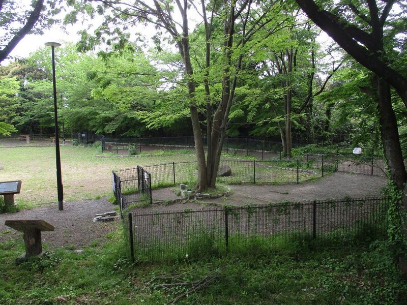 File:Binmanjijou (6).jpg