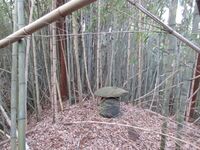 ChiisagataNakaojou (9).JPG