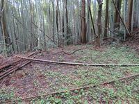 ChikuzenSakatajou (15).JPG