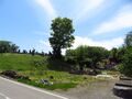 Thumbnail for version as of 16:10, 21 May 2020