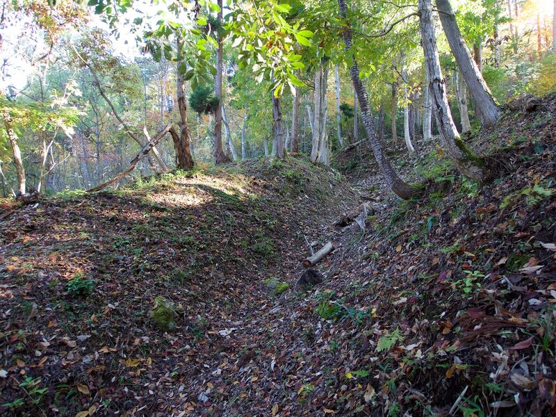File:Mukaihaguroyama58.jpg