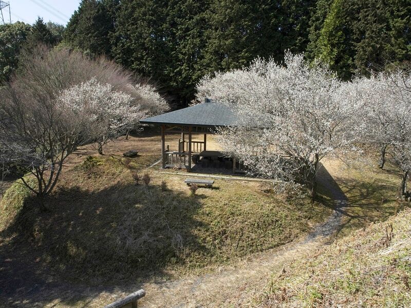 File:Ogawakoka12.jpg