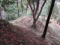 TohtoumiYokochijouA (1).jpg