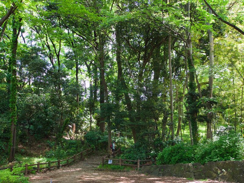 File:Akatsuka14.jpg