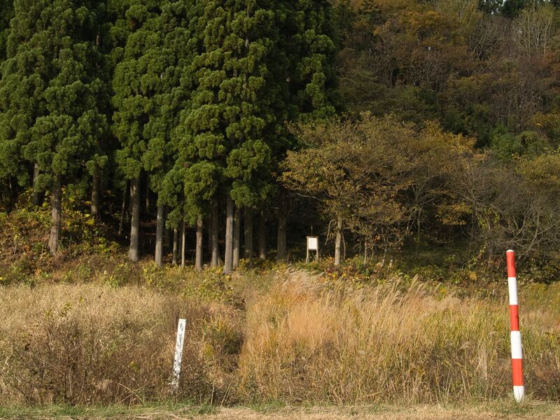 File:Chausudate9.jpg