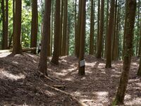 Dogiyama26.jpg