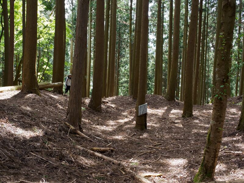 File:Dogiyama26.jpg
