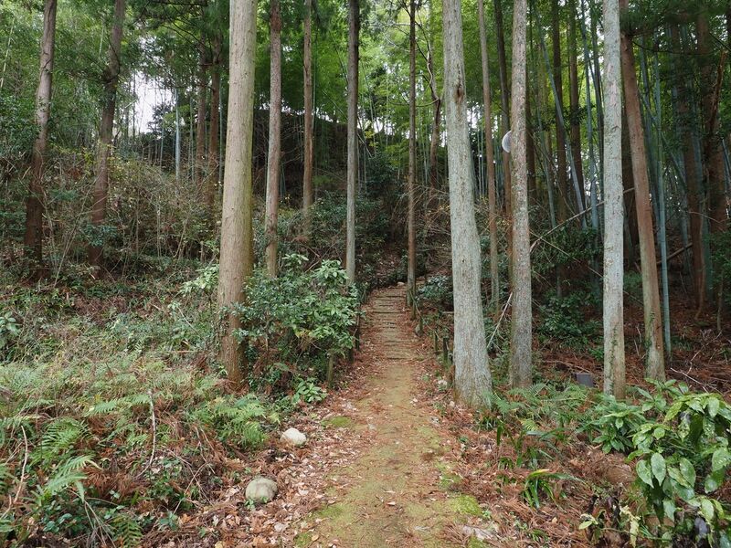 File:Futamata3.jpg