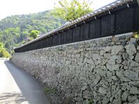 GaryuuzanjouA (32).jpg