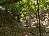 Haiyama5.jpg