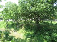 Hanamaki (24).JPG