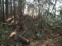 Hishakuyama18.jpg
