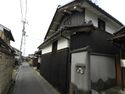 Katsuradahikone2.jpg