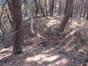 MurakamiArajou (2).JPG
