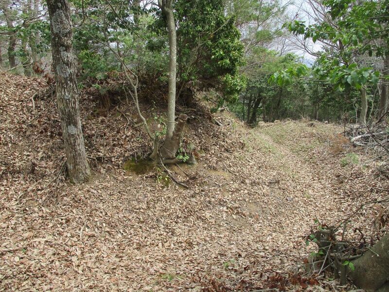 File:OdaniYamazakiToride (18).jpg