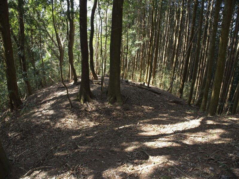 File:Ogawakoka34.jpg