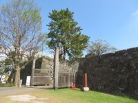 SagajouART (17).JPG