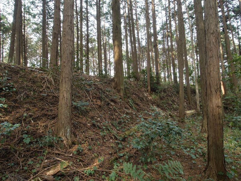 File:Wadakoka9.jpg