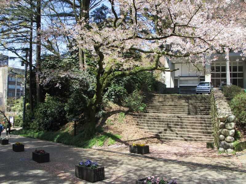 File:ARTTakaokajou12.jpg
