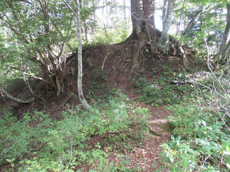 File:AzumiSarugajou (7).jpg