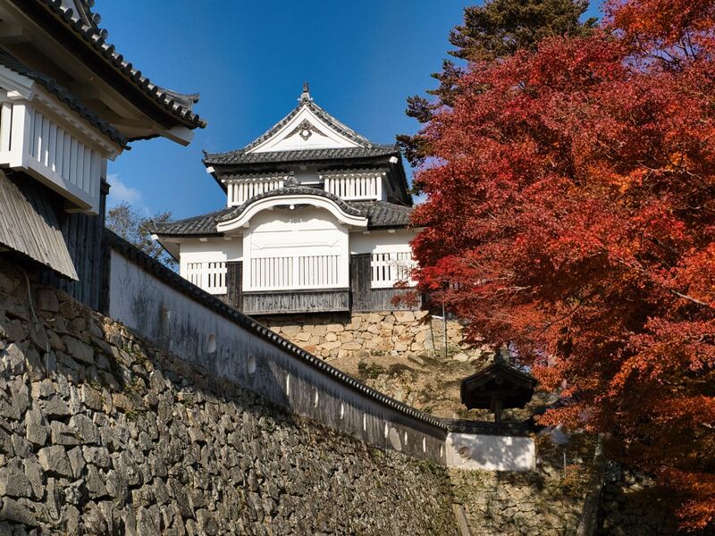 File:Bitchumatsu46.jpg