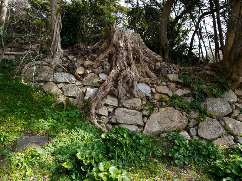 File:Hagicastle26.jpg