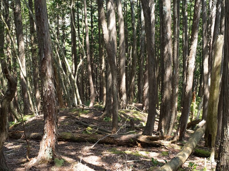 File:Hekitani8.jpg