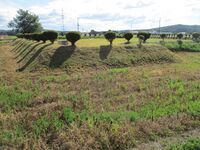 IkarashiYakata (7).JPG