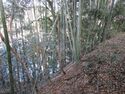 Kōzuke-Niwayajō14.JPG